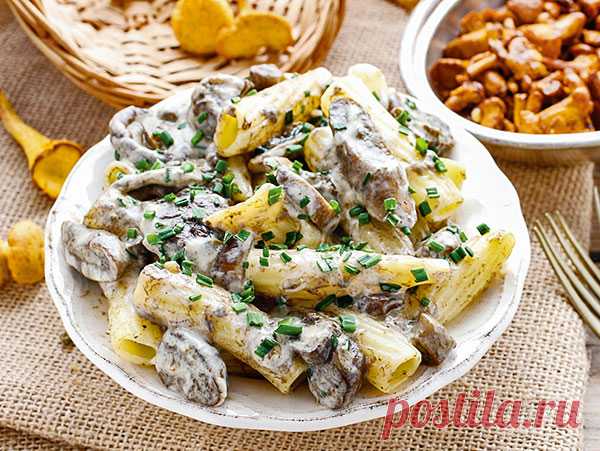 Готовим макароны: тортильони с грибами в сметанно-чесночном соусе