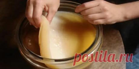 (99+)  Чайный гриб и его лечебные свойства - Советы Народной Мудрости - 15 марта - 43893450508 - Медиаплатформа МирТесен