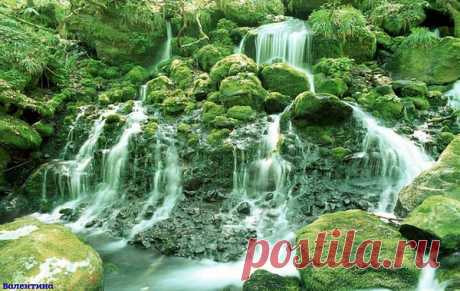 Наша душа, как бездонный родник,
Что наполнен живою водою,
Осторожно в неё загляни,
Зачерпни это благо ладонью.
Дар бесценен, глоток осуши.
Кто-то мудрый, сказал очень ясно,
Если даришь глоточек души,
В этом мире живёшь не напрасно!