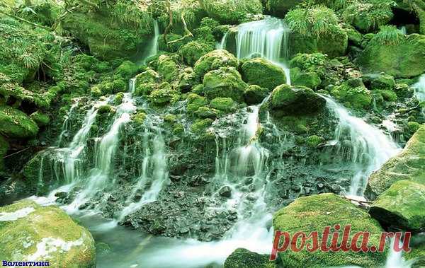 Наша душа, как бездонный родник,
Что наполнен живою водою,
Осторожно в неё загляни,
Зачерпни это благо ладонью.
Дар бесценен, глоток осуши.
Кто-то мудрый, сказал очень ясно,
Если даришь глоточек души,
В этом мире живёшь не напрасно!