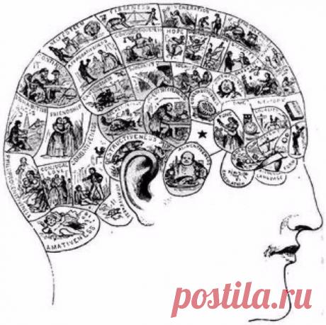 Упражнения для улучшения памяти Рекомендации для педагогов, родителей, учащихся Многим знакома ситуация, когда вдруг выскочил из головы нужный номер телефона или о дне рождения друга вы вспомнили лишь на следующий день… Не пугайтесь, такие провалы редко бывают признаками болезни — Дневник Фактов