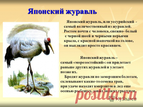 slide_3.jpg (800×600)