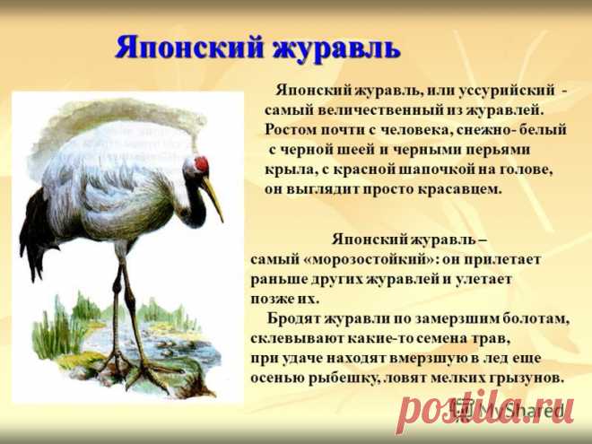 slide_3.jpg (800×600)