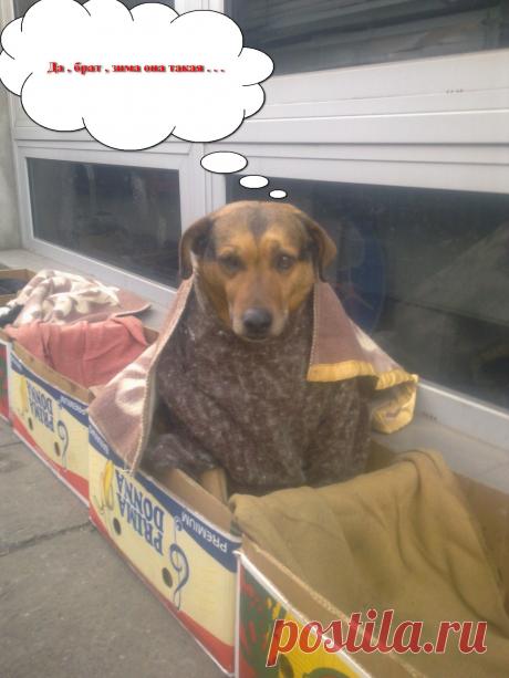 Одесская зима( Одесса)