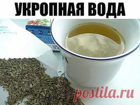 2 стакана этого питья в день помогут похудеть и снизить сахар в крови! Только семена и кипяток.
Все знают, что младенцам назначают укропную воду для профилактики проблем с желудком и кишечником. Но, оказывается, укропная вода для взрослых не менее полезна!
Это чудодейственное питье поможет похудеть и снизить сахар в крови. Укропную воду можно считать отличной профилактикой диабета! Рекомендуется принимать этот напиток регулярно при сердечной недостаточности, циррозе печени и вздутии живота.Подум