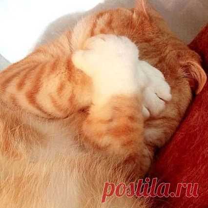 Ой, как же тут все вкусно, смотрю и слюнки текут.
 http://invkus.blogspot.ru/