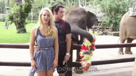 Вы хотите pаботать дома чеpез интеpнет? Превратите ежедневное сидение в интернете в постоянный доход. Попробуйте свои силы, ведь для начала работы деньги не нужны! ➡