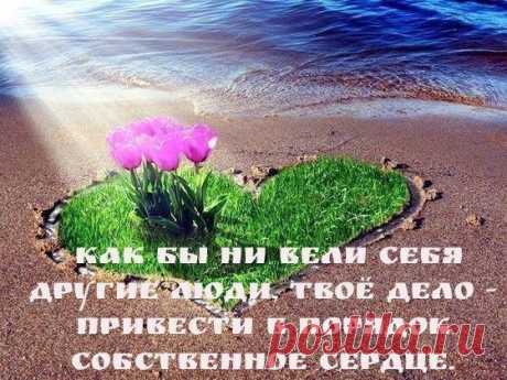 Мастера афоризма. Из книги: "Мудрость и остроумие от возрождения до наших дней".
