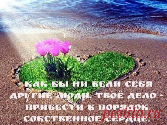 Мастера афоризма. Из книги: 