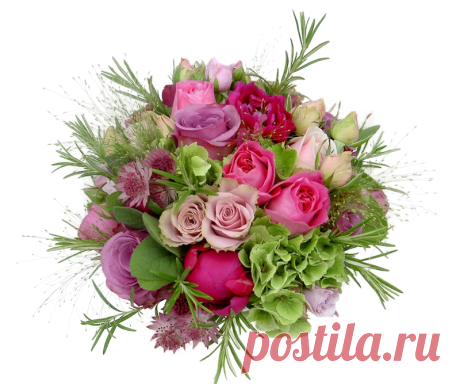 клипарт «цветы» png