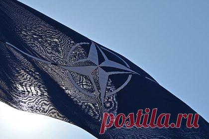 Раскрыты красные линии НАТО в мирном плане по Украине