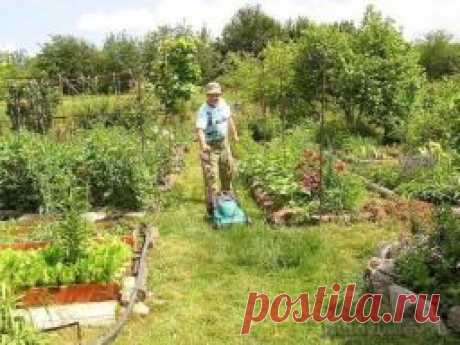 Плодородная почва - это просто - Садоводка