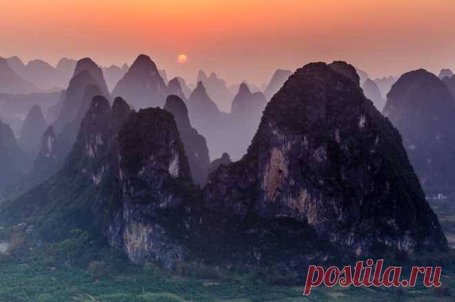 30 лучших снимков National Geographic за год