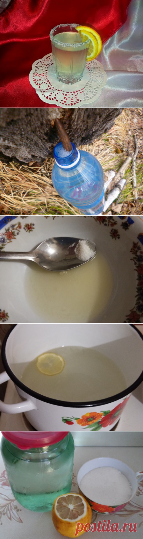 Натуральный, витаминный: лимонад из берёзового сока — Вкусные рецепты