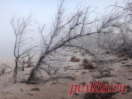 Сергей Анатольевич – ФотоКто
