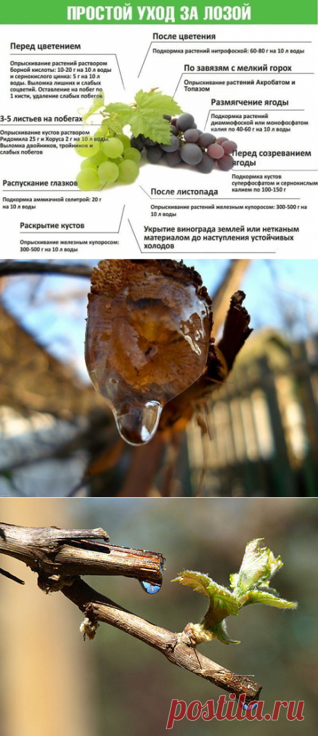 Одноклассники