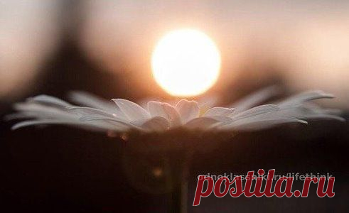 В этом мире можно искать всё, кроме Любви и Смерти… Они сами тебя найдут, когда придет время.