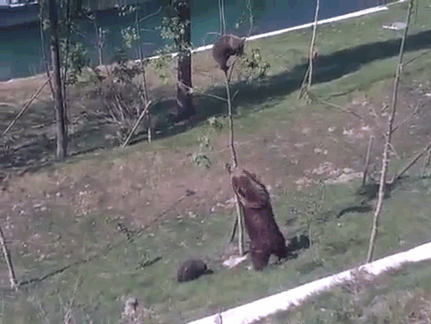 Мой Мир@Mail.Ru