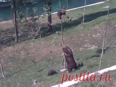 Мой Мир@Mail.Ru