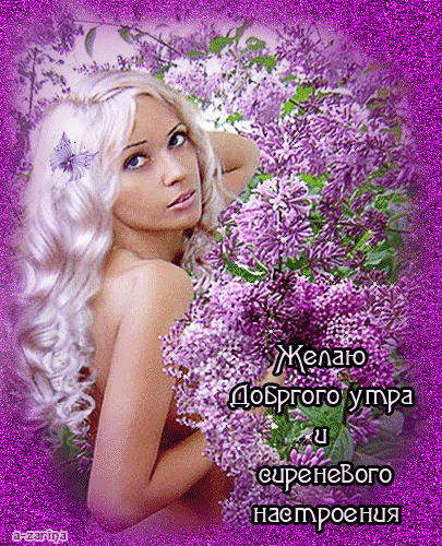 GERDA - Простые рецепты Овкусе.ру