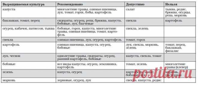 Что после чего сажать на следующий год и почему: таблица
