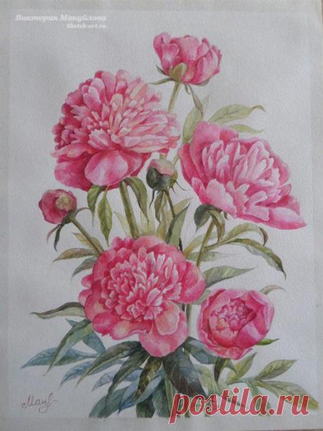 Как нарисовать пион? - Нарисуем целый букет! — Sketch-Art