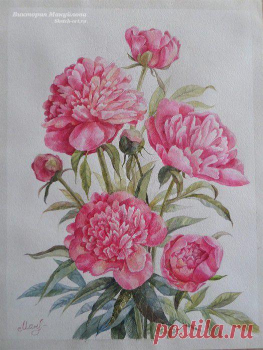 Как нарисовать пион? - Нарисуем целый букет! — Sketch-Art