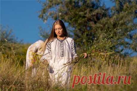 Травы-талисманы: магическое значение трав у наших предков