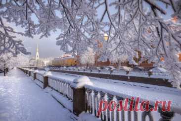 Последние аккорды зимы. Фотограф Андрей Базанов
