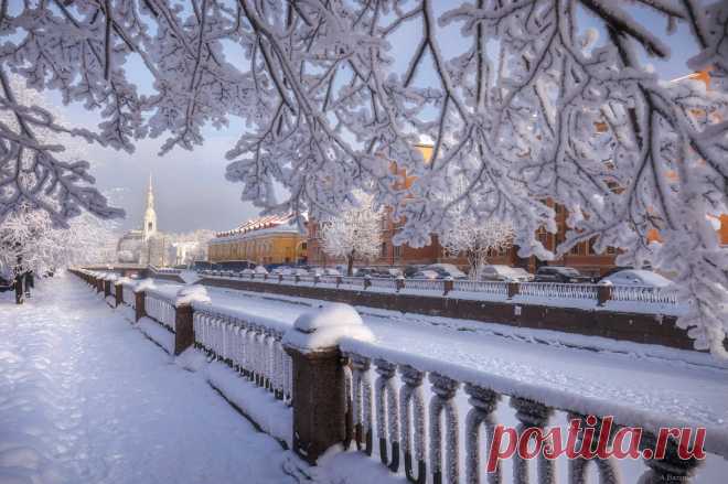 Последние аккорды зимы. Фотограф Андрей Базанов