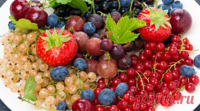 Какие вкусности из ягод можно заготовить на зиму 


Как приятно зимой открыть баночку душистого варенья и вдохнуть терпкий аромат лета! А чтобы было что открывать, сначала нужно что-то положить в баночки. Посмотрите подборку необычных рецептов из яг…