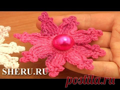 Цветок звезда в коллекцию - мастер-класс.