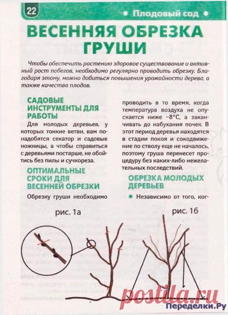 Сезон у дачи 5 2019 * Переделки.РуПеределки.Ру