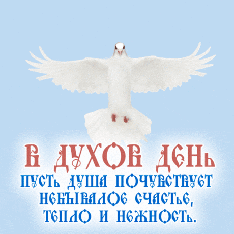 С Днем сошествия Святого Духа,
Не будем к Господнему слову глухи!
Желаю всем благополучия, просветления,
Внутренних сил укрепления!