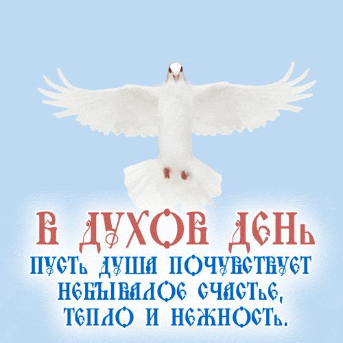 С Днем сошествия Святого Духа,
Не будем к Господнему слову глухи!
Желаю всем благополучия, просветления,
Внутренних сил укрепления!
