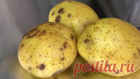 Простой и вкусный салат с селедкой
