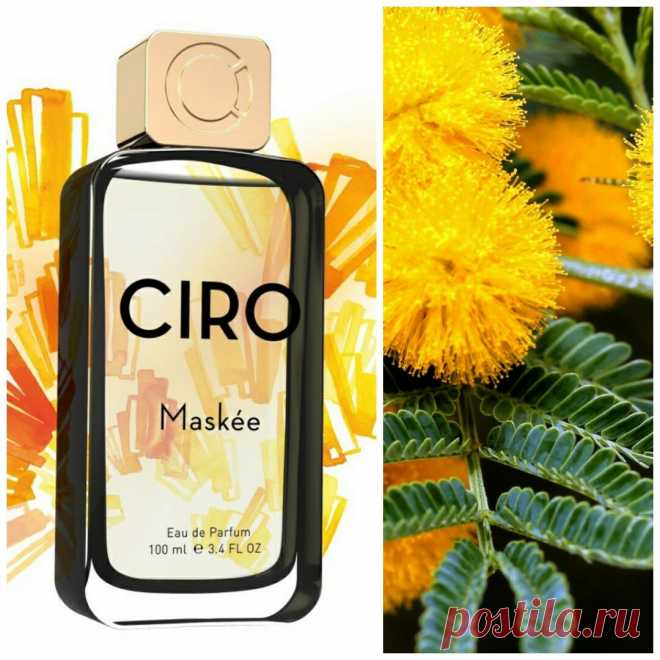 Дарите женщинам цветы! Лучшие ароматные подарки к 8 марта. | ALEXIRPARFUM | Яндекс Дзен