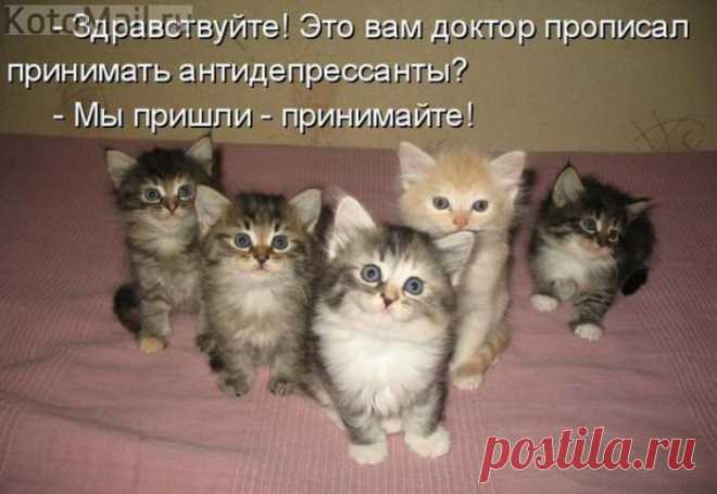 Мы пришли...