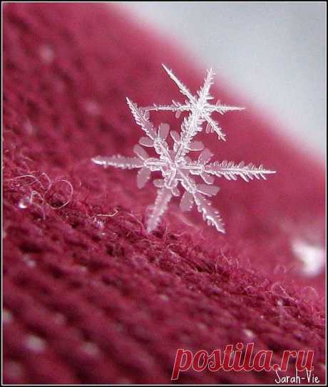 (163) Pinterest