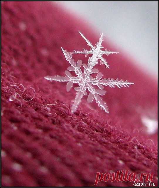 (163) Pinterest