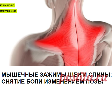 Мышечные зажимы шеи и спины: снятие боли изменением позы
