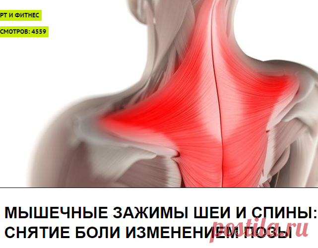 Мышечные зажимы шеи и спины: снятие боли изменением позы