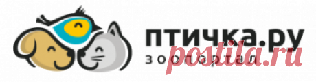 Группа «МедиаФорт» - наши проекты