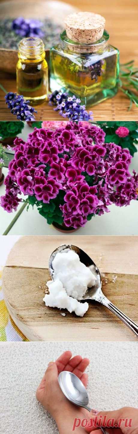 10 способов борьбы с комарами и их укусами / Будьте здоровы