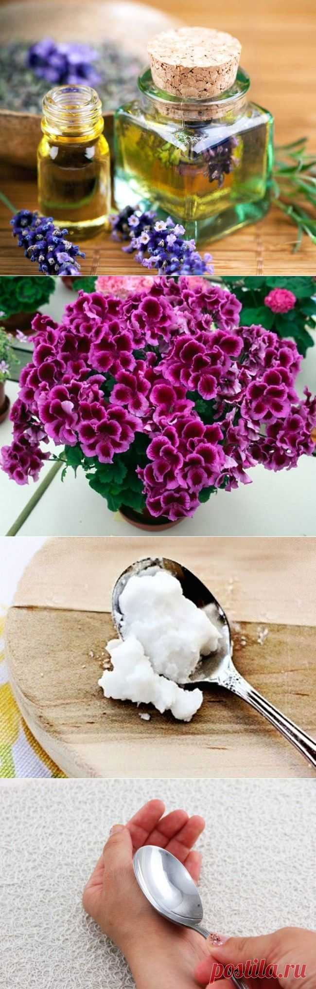 10 способов борьбы с комарами и их укусами / Будьте здоровы