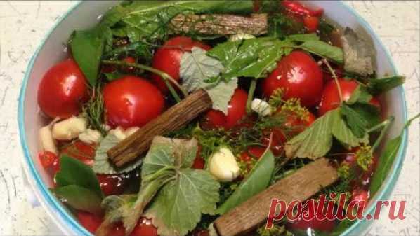 Засолка помидор с огурцами холодным способом