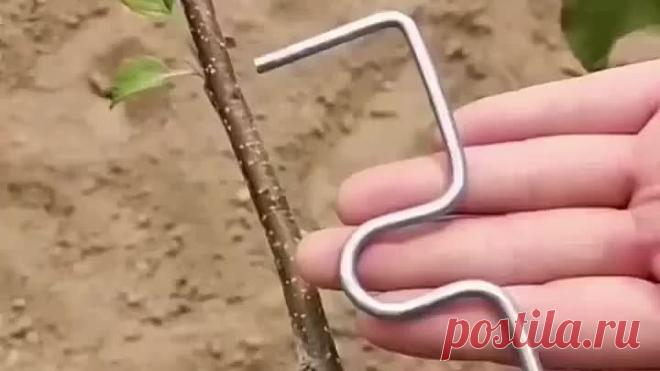 Полезная штука для формирования дерева на начальном этапе