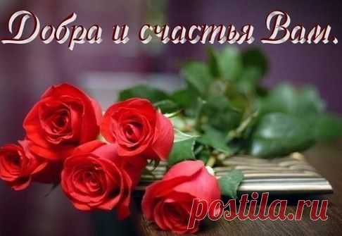 Берегите родных и любимых