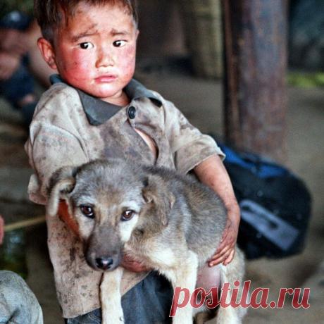 35 гениальных фотографий, наполненных любовью и добротой
