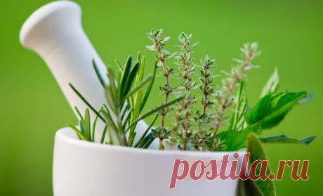 Как лечить псориаз в домашних условиях, народная медицина